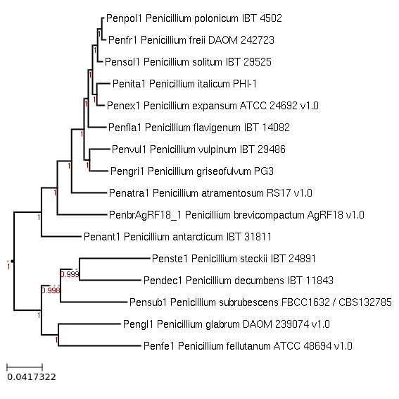 Photo of Penicillium freii DAOM 242723