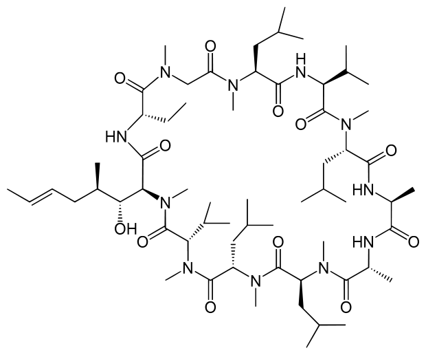 Cyclosporin, the immunosuppressant drug produced by T. inflatum.
Image by Yikrazuul. Source: <a
href="https://en.wikipedia.org/wiki/Ciclosporin">https://en.wikipedia.org/wiki/Ciclosporin</a>